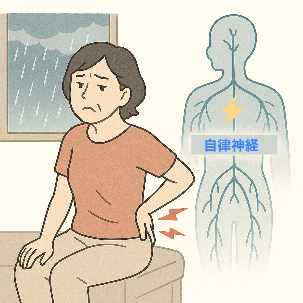 梅雨の時期に悪化する腰痛の原因と歩くだけでできる緩和方法 | 新潟市