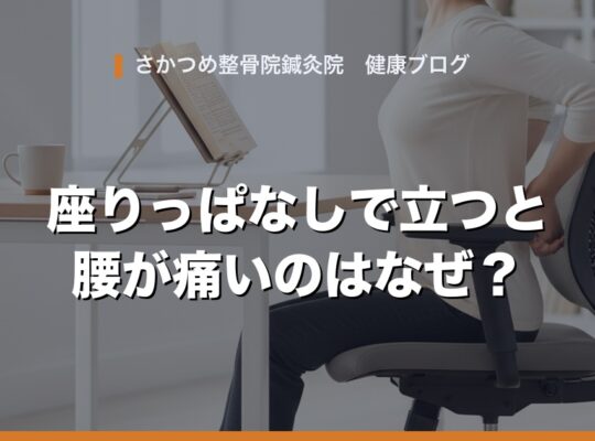 座りっぱなしで立つと腰が痛いのはなぜ？｜さかつめ整骨院鍼灸院