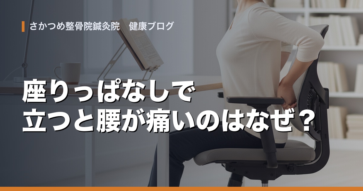 座りっぱなしで立つと腰が痛いのはなぜ?|さかつめ整骨院鍼灸院